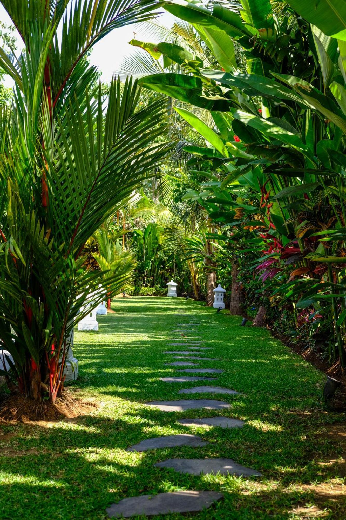 Villa Mata Hari Panji Exteriér fotografie