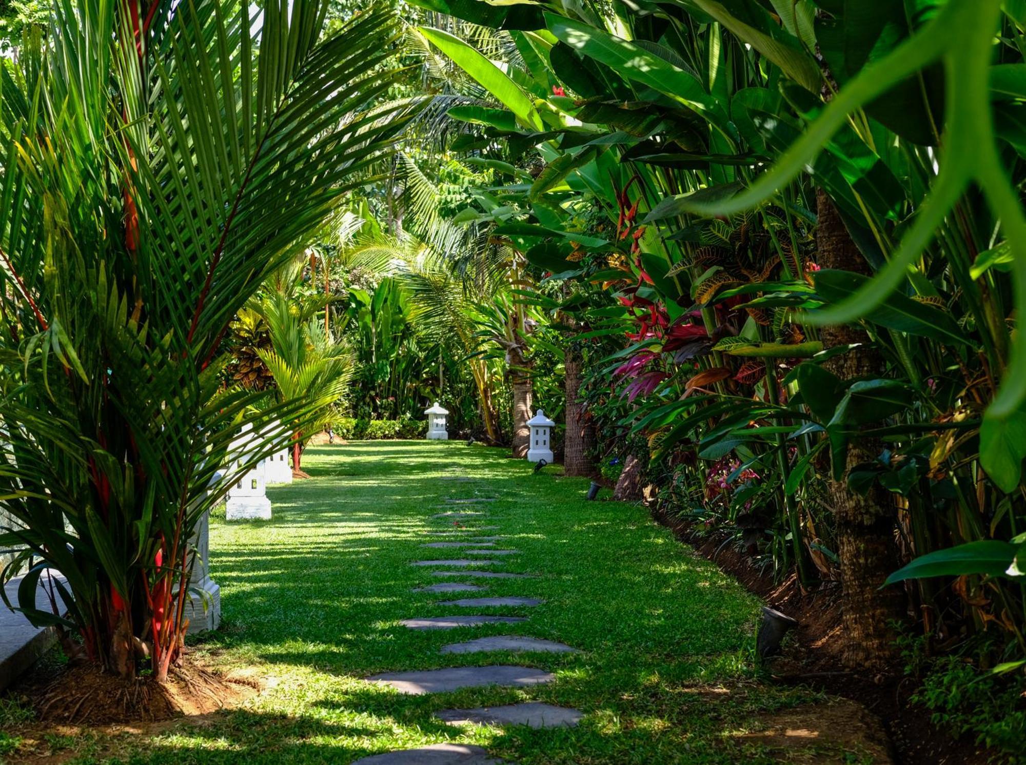 Villa Mata Hari Panji Exteriér fotografie